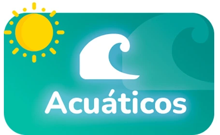 Categoria Juegos Inflables Acuaticos